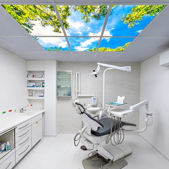 Photo Ceiling N26 12