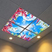Photo Ceiling N26 6