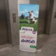 X Banner N1A