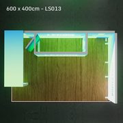 Ls013A